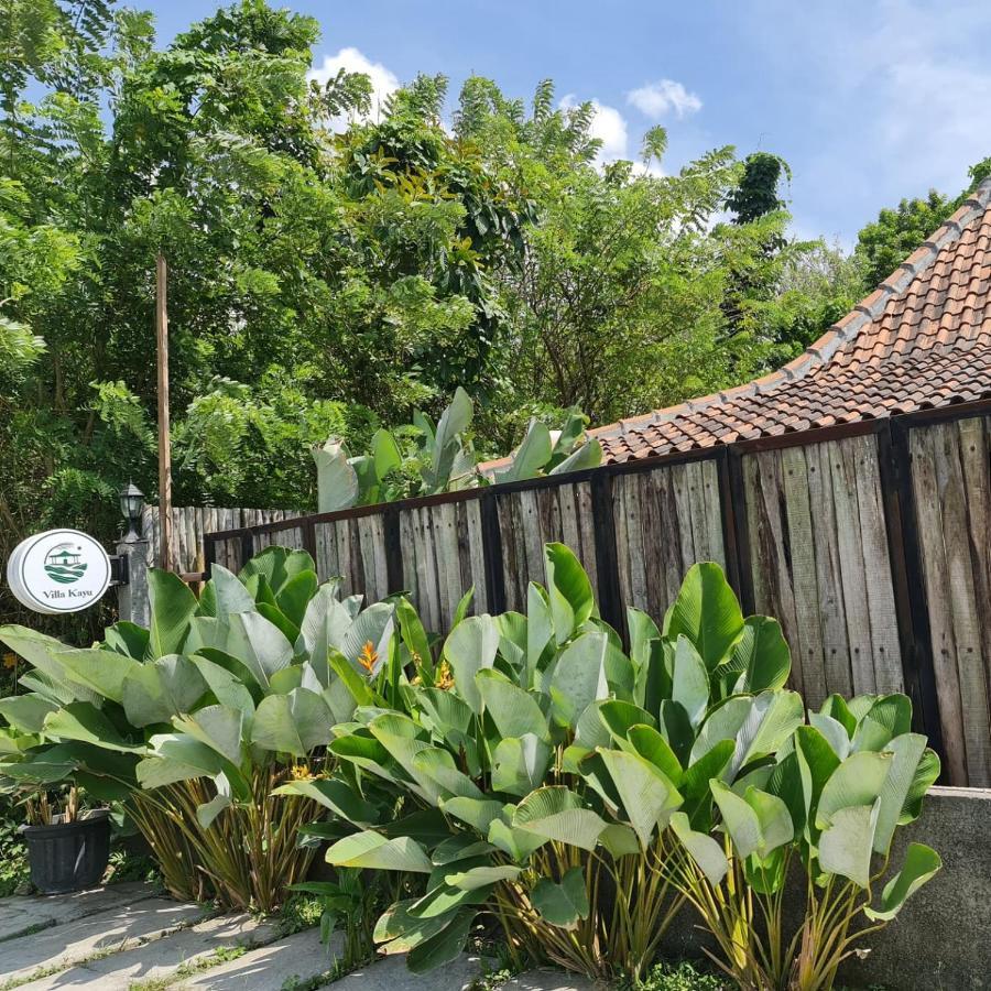 Villa Kayu ยอกยาการ์ตา ภายนอก รูปภาพ