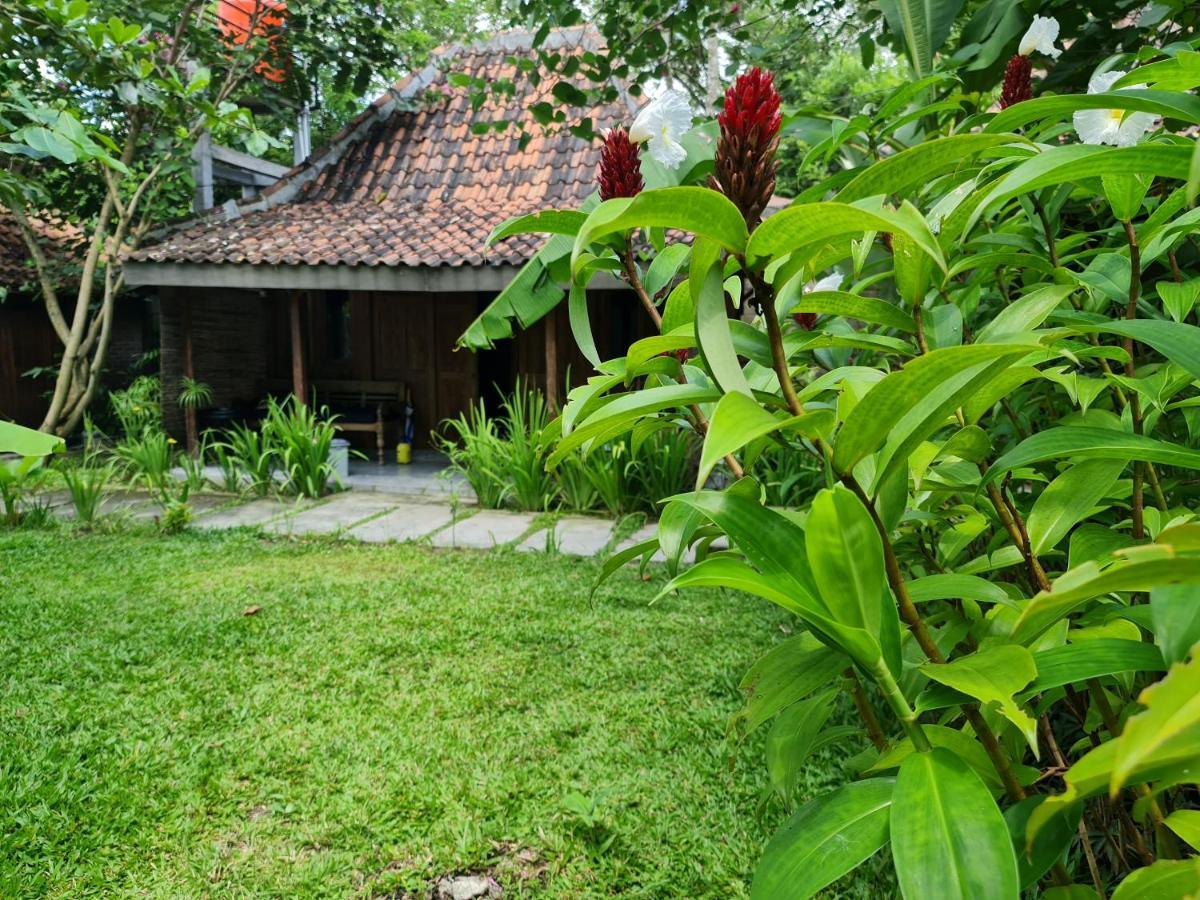Villa Kayu ยอกยาการ์ตา ภายนอก รูปภาพ