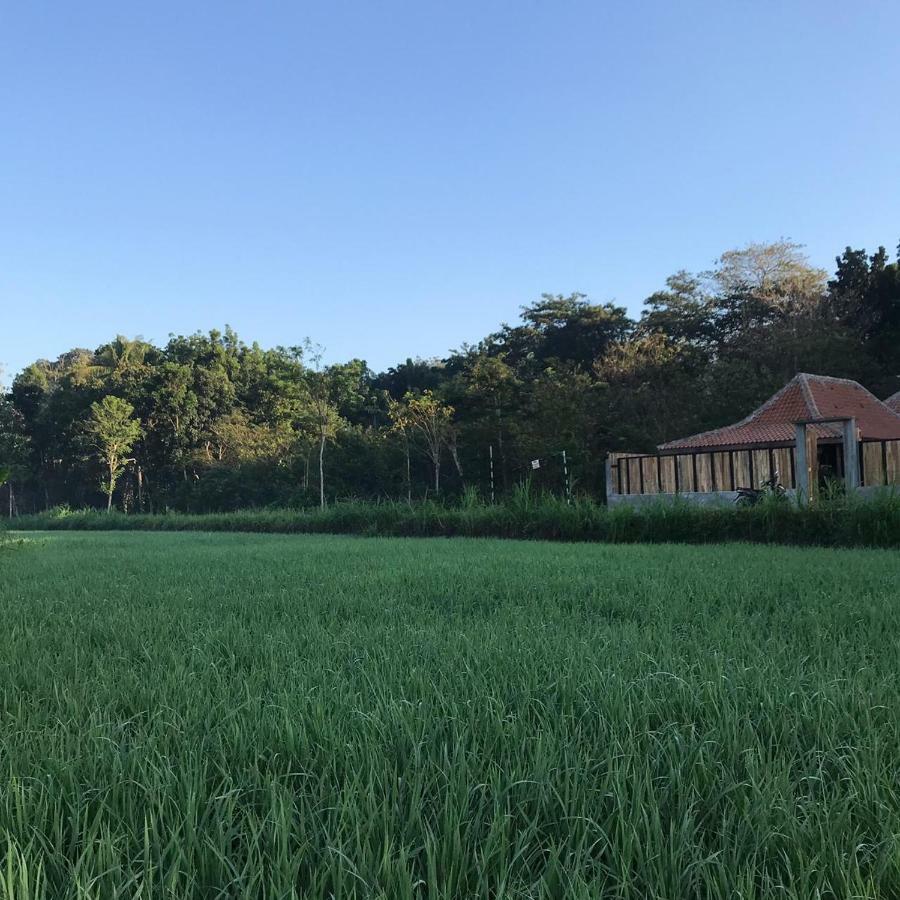Villa Kayu ยอกยาการ์ตา ภายนอก รูปภาพ